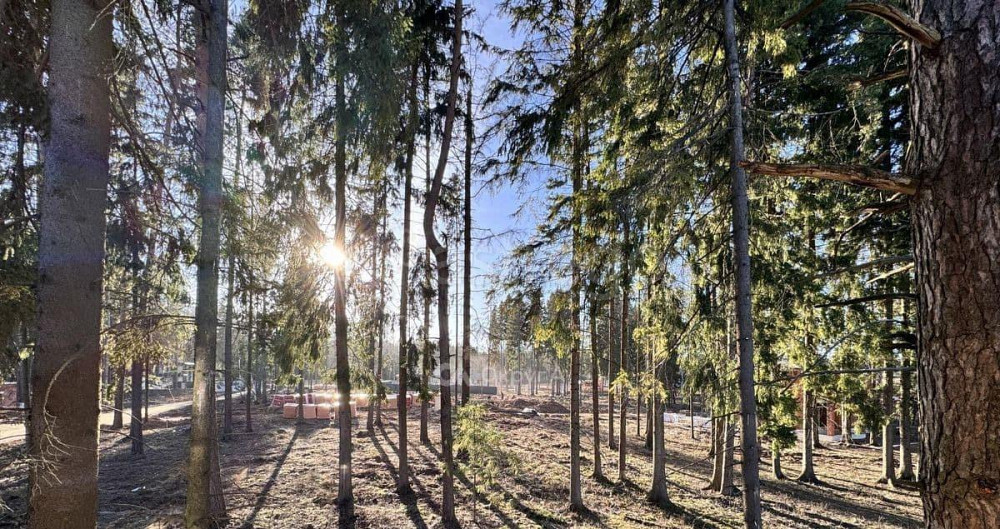 Дом, 205 м2, 8.12 сотки, 2 эт. Химки - изображение 7