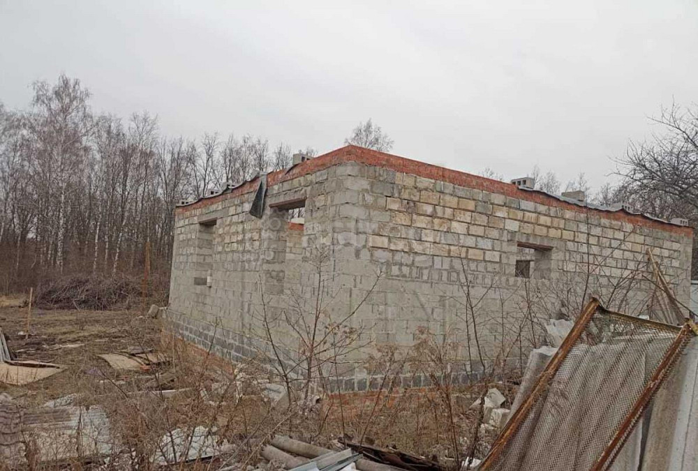 Дом, 100 м2, 10 соток, 1 эт. Стрелецкое - изображение 1