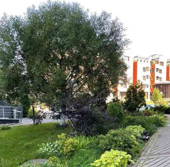 4-комн. квартира, 168.6 м2, 3/8 эт. Санкт-Петербург