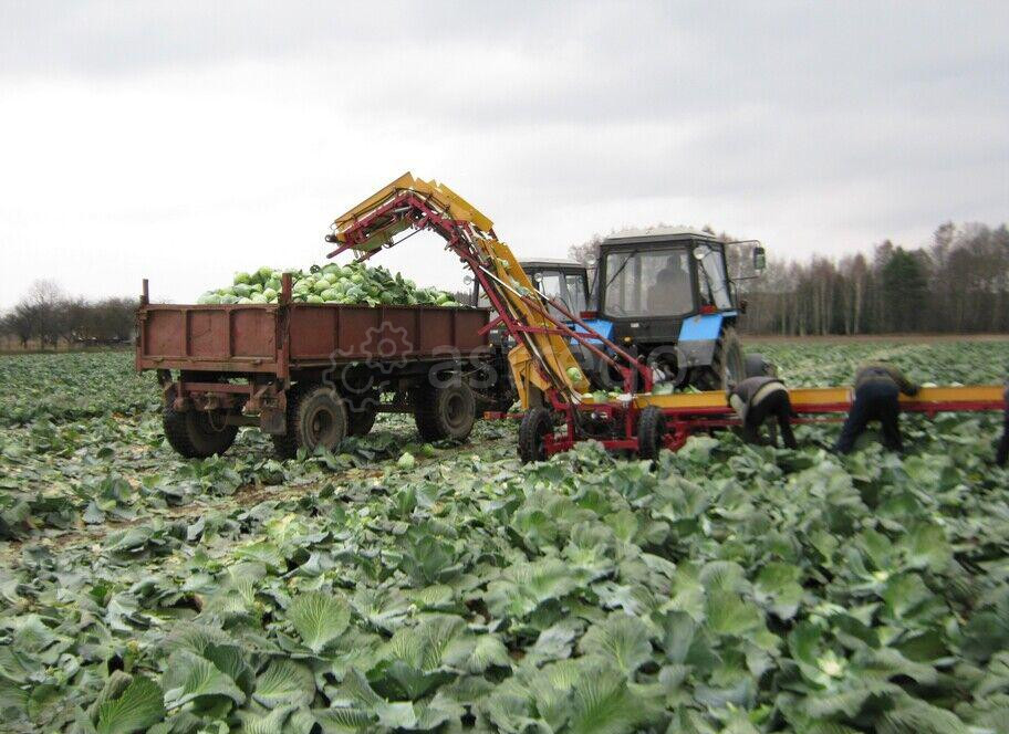 Транспортер-погрузчик универсальный ТПУ-1 Санкт-Петербург - изображение 1