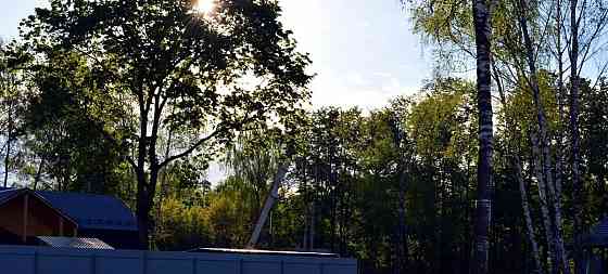 Земельный участок, 10 соток Королев