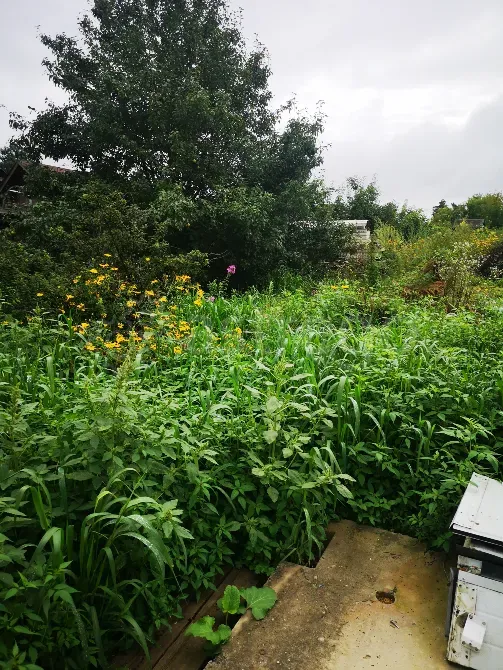 Продам Участок, ИЖС, 7.8 сот. Лесозаводск - изображение 8