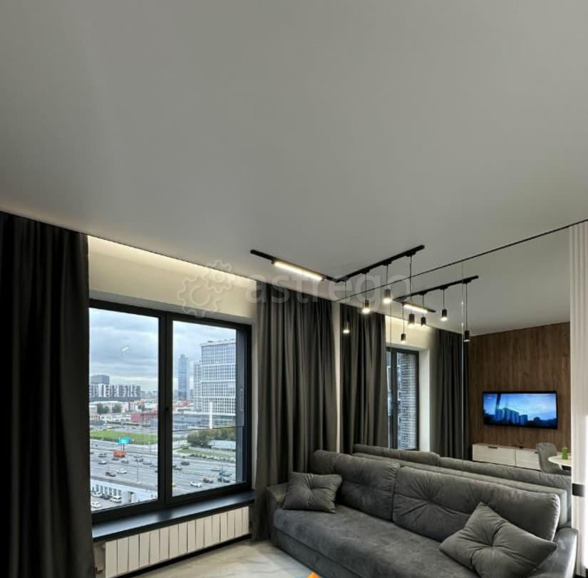 Студия, 26 м2, 12/20 эт. Москва - изображение 5
