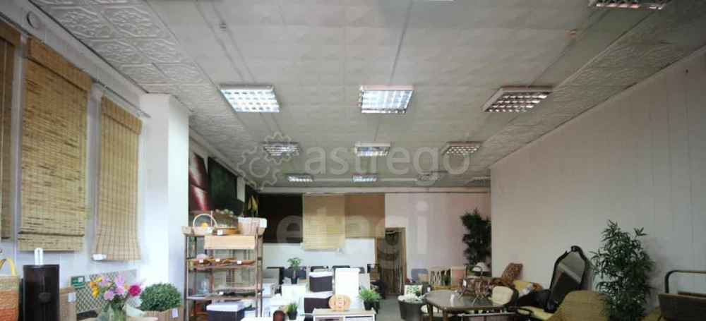 Торговое помещение, 341.4 м2 Красноярск - изображение 2