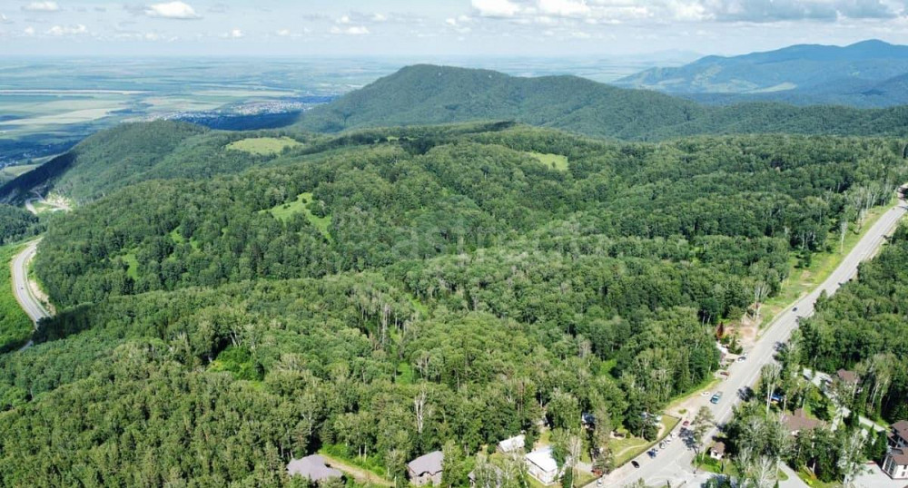 Коммерческий участок, 2.88 га Белокуриха - изображение 6