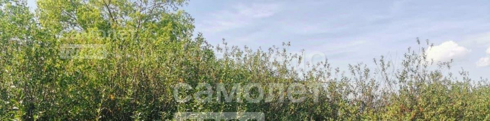 Земельный участок, 0.6 га Октябрьский - изображение 4