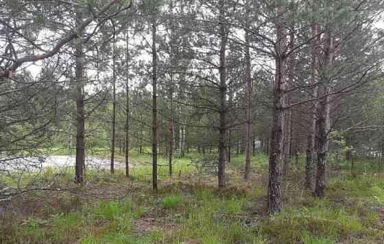 Земля под ИЖС, 9 соток Павловский Посад