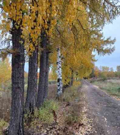 Земля с/х назначения, 12.38 га Кармаскалы