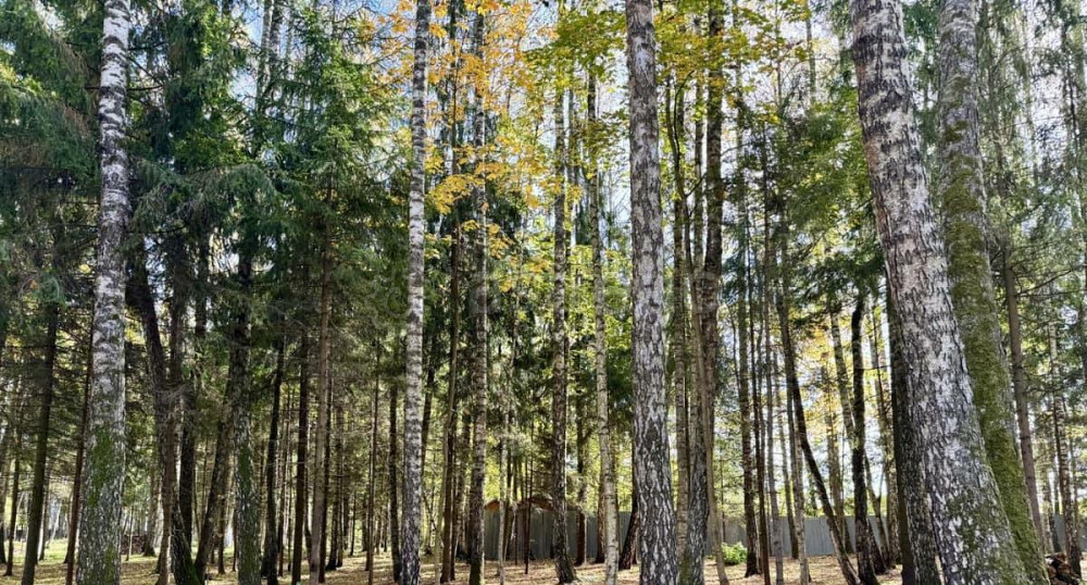 Земельный участок, 8 соток Лобня - изображение 5