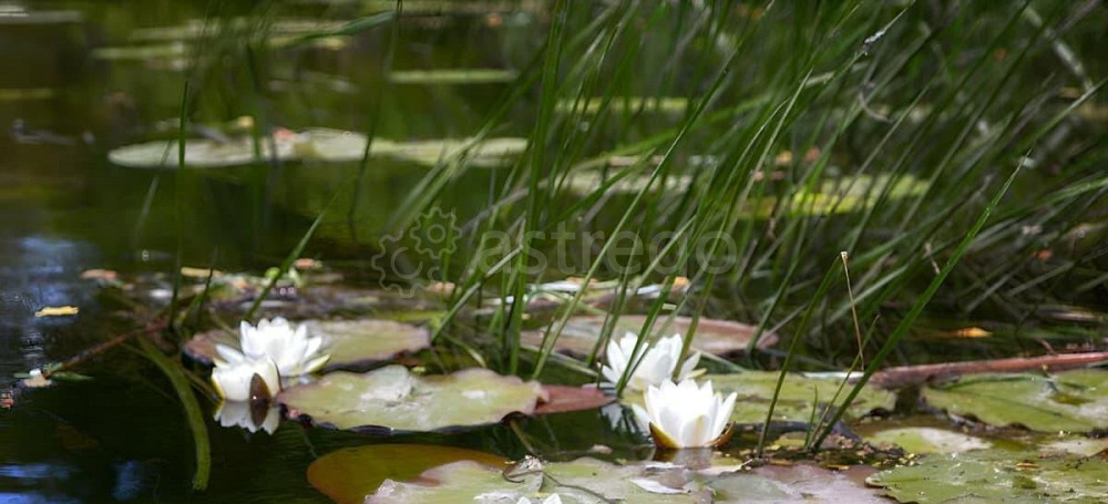 Земельный участок, 23 сотки Санкт-Петербург - изображение 1