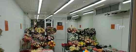 Готовый бизнес, 35 м2 Щёлково