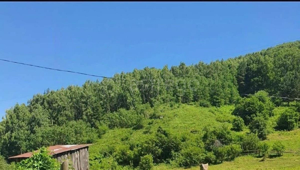 Земельный участок, 0.53 га Алтайское - изображение 3