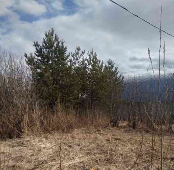 Коммерческий участок, 31 сотка Северодвинск