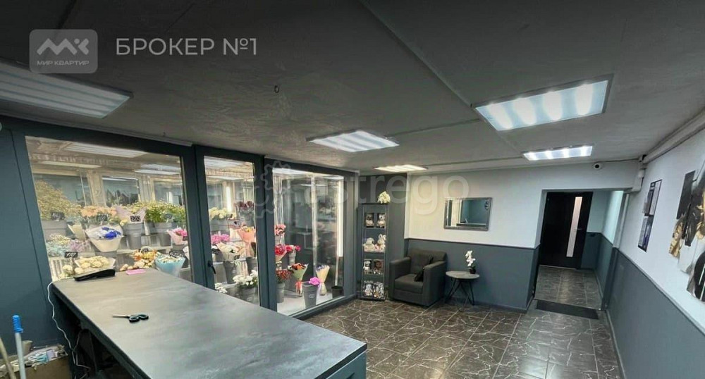 Торговое помещение, 540 м2 Санкт-Петербург - изображение 3