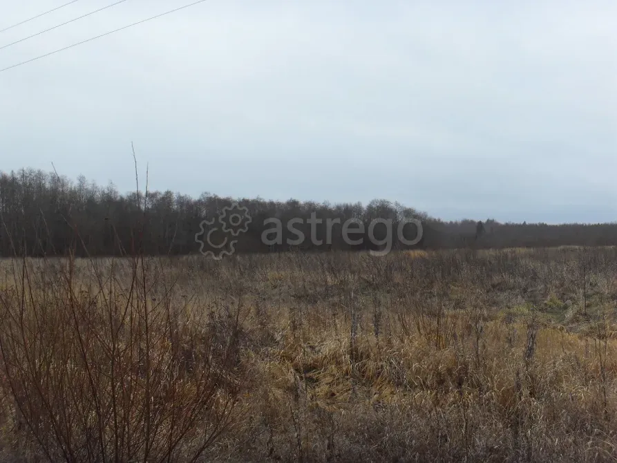 Продам Участок, Садовый, 1280 сот. Калязин - изображение 5