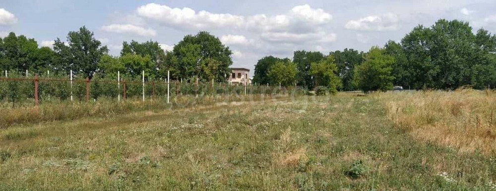 Земельный участок, 1.47 га Разумное - изображение 1