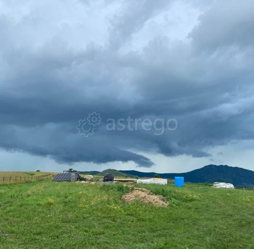 Земельный участок, 70 га Алтайское - изображение 7