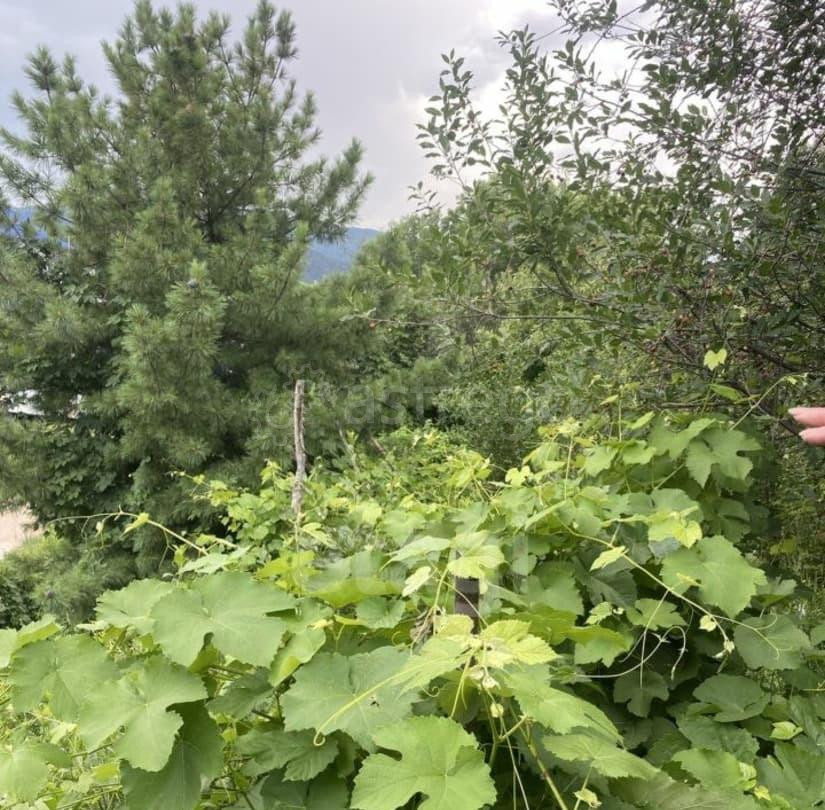 Дом, 54.9 м2, 8.5 сотки, 1 эт. Белокуриха - изображение 1