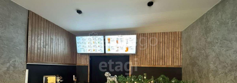 Торговое помещение, 29.1 м2 Горно-Алтайск - изображение 3