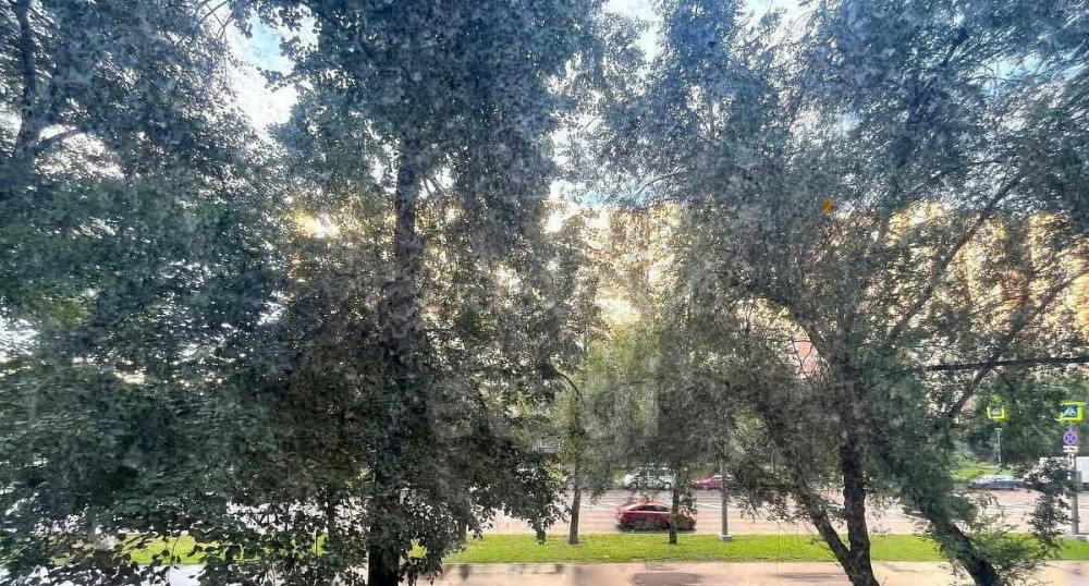 4-комн. квартира, 86.1 м2, 2/12 эт. Москва - изображение 2