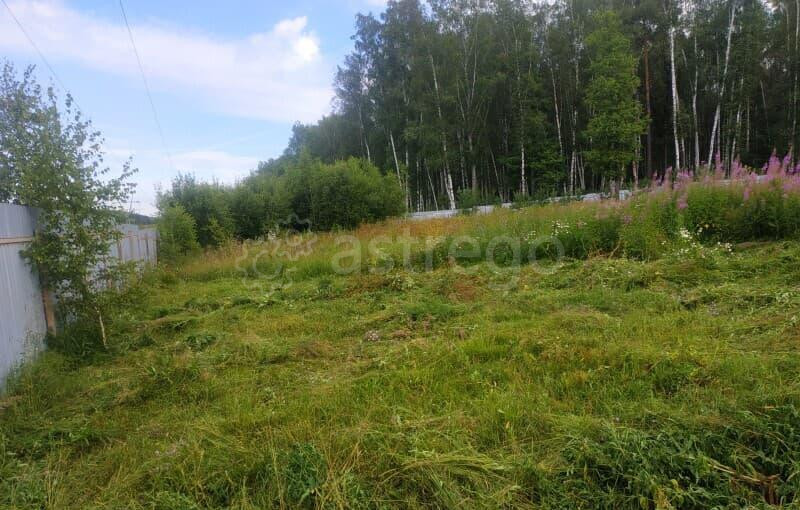 Земля с/х назначения, 17.59 сотки Чехов - изображение 5