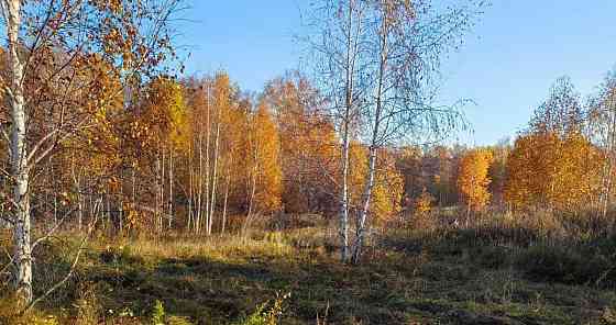 Земельный участок, 9.2 сотки Емельяново