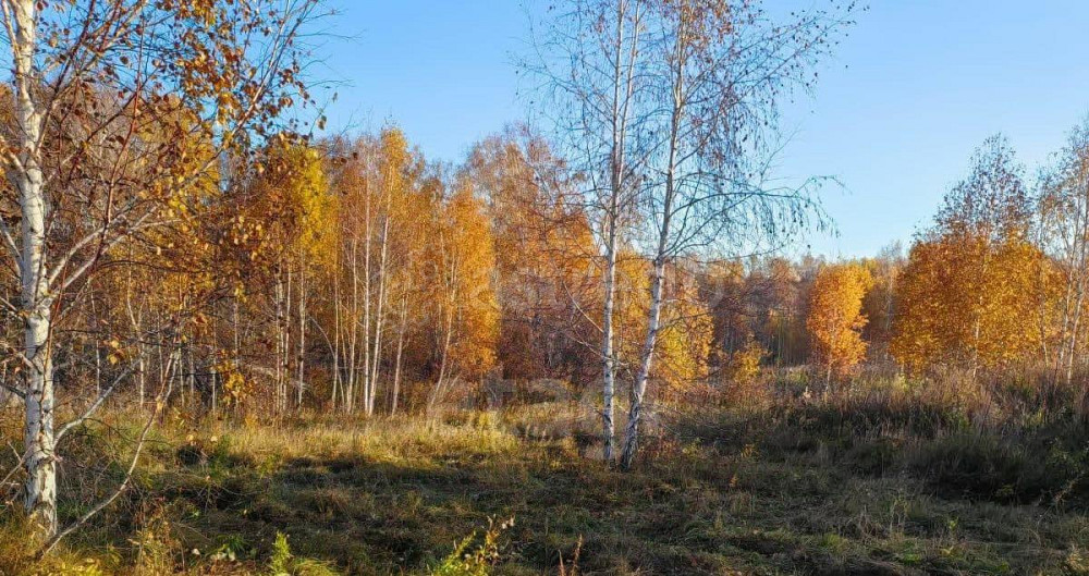 Земельный участок, 9.2 сотки Емельяново - изображение 1