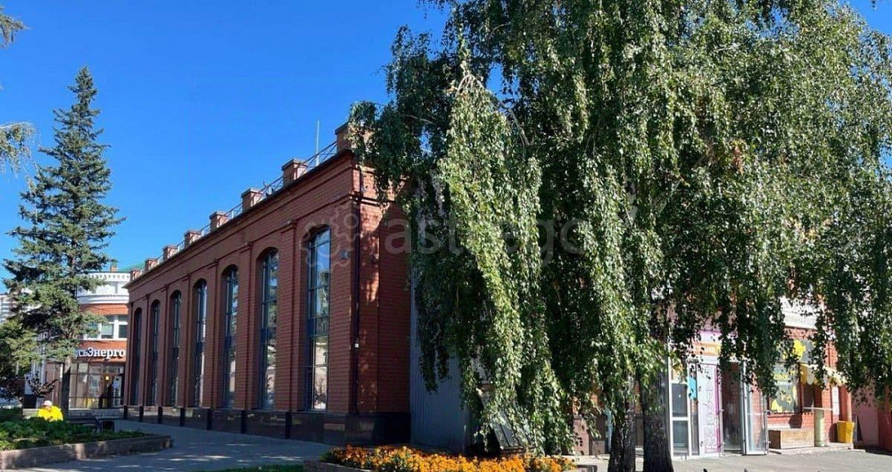 Свободного назначения, 445 м2 Барнаул - изображение 3