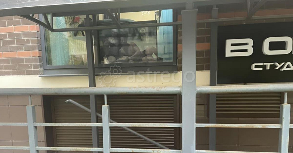 Свободного назначения, 36.1 м2 Королев - изображение 1