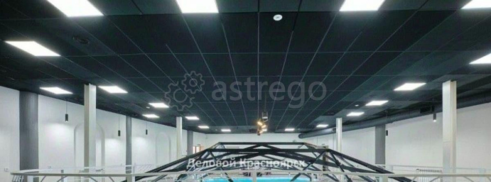 Готовый бизнес, 1071 м2 Красноярск - изображение 3