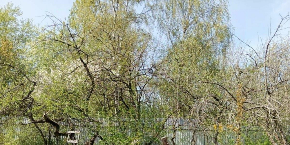 Земельный участок, 7.5 сотки Санкт-Петербург - изображение 7