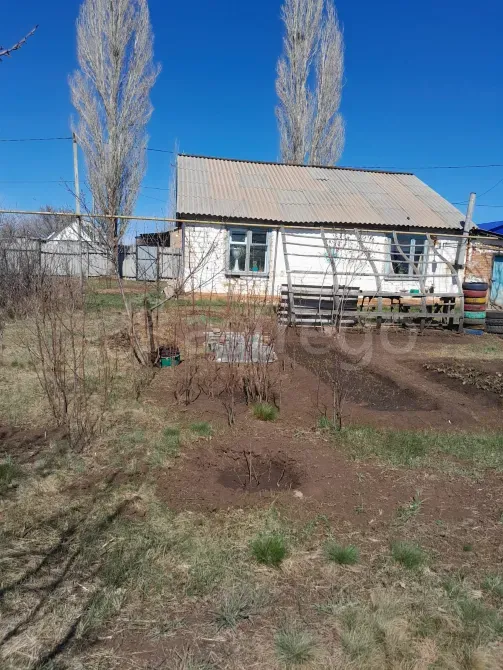 Продам дом, 60 м2, ИЖС участок 22 сот. Новосергиевка - изображение 4