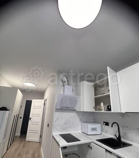 Студия, 26 м2, 11/17 эт. Лыткарино - изображение 9