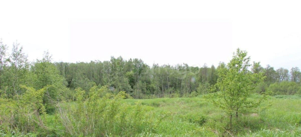 Земельный участок, 4.1 га Клин - изображение 1