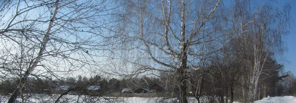 Земельный участок, 15 соток Емельяново - изображение 2