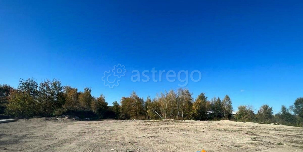 Земельный участок, 1 га Звенигород - изображение 1