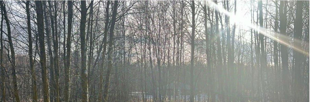 Земельный участок, 8 соток Ступино - изображение 1