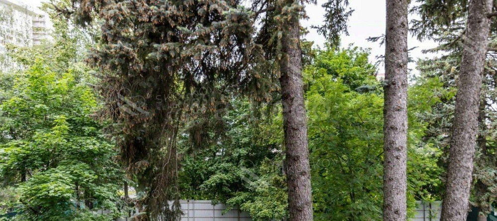 Дом, 385 м2, 16 соток, 2 эт. Москва - изображение 2