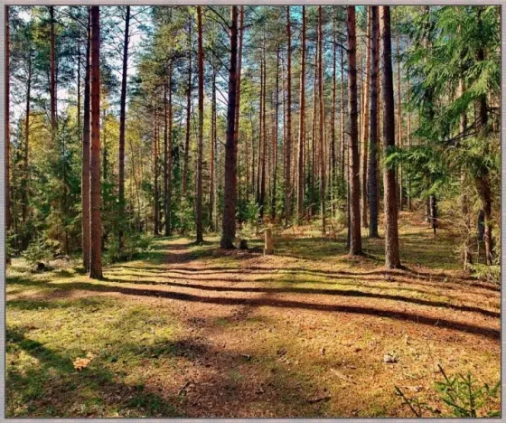 Продам участок, Садовый, 35000 сот. Москва