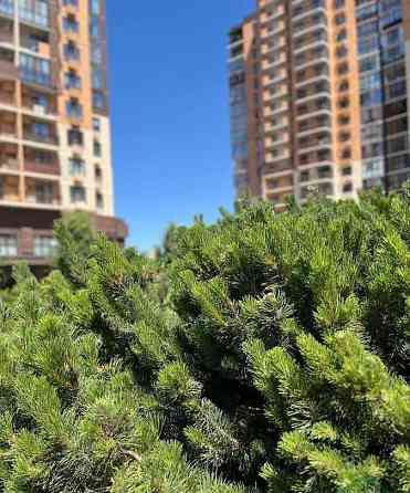 2-комн. квартира, 57.5 м2, 17/19 эт. Астрахань