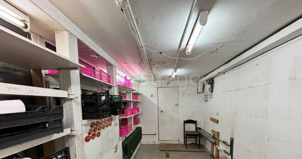 Свободного назначения, 14 м2 Новоалтайск - изображение 4