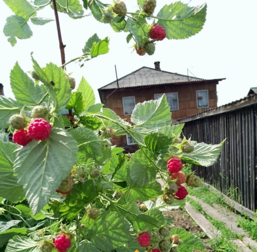 Дом, 85 м2, 2.48 сотки, 2 эт. Красноярск - изображение 4