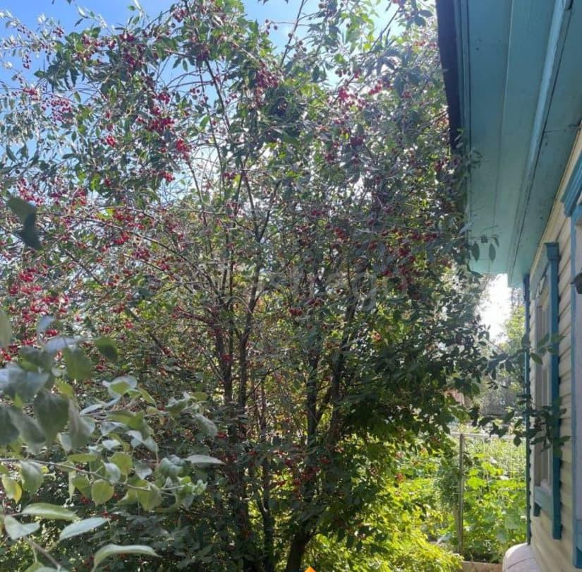 Дом, 48.4 м2, 5.41 сотки, 1 эт. Рубцовск - изображение 5