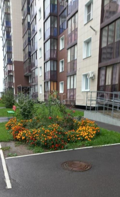 Студия, 30 м2, 1/18 эт. Барнаул - изображение 1