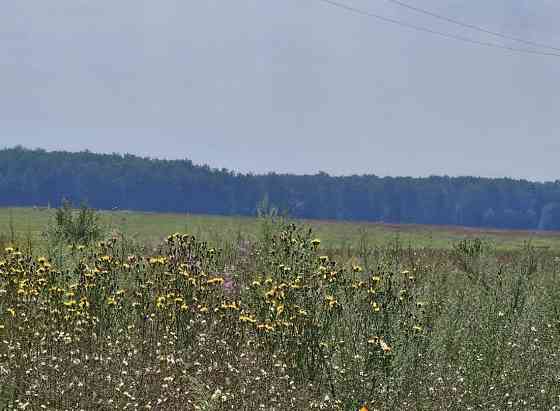 Земельный участок, 13.72 сотки Луховицы