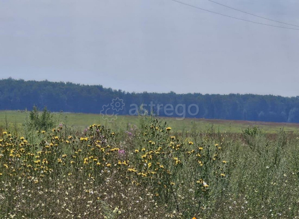 Земельный участок, 13.72 сотки Луховицы - изображение 2