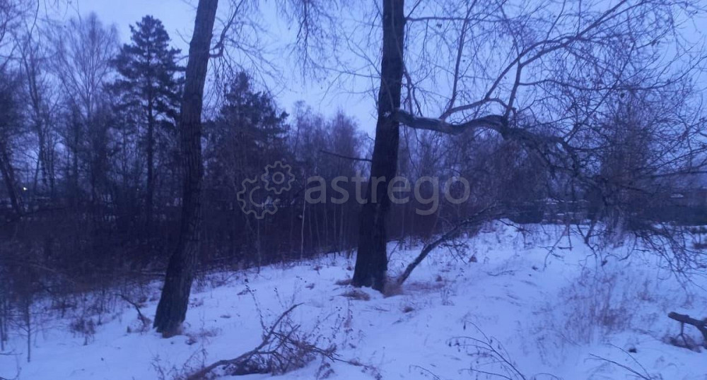 Земельный участок, 9.67 га Березовка - изображение 7