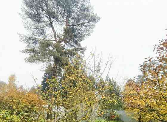 Земельный участок, 10 соток Красногорск