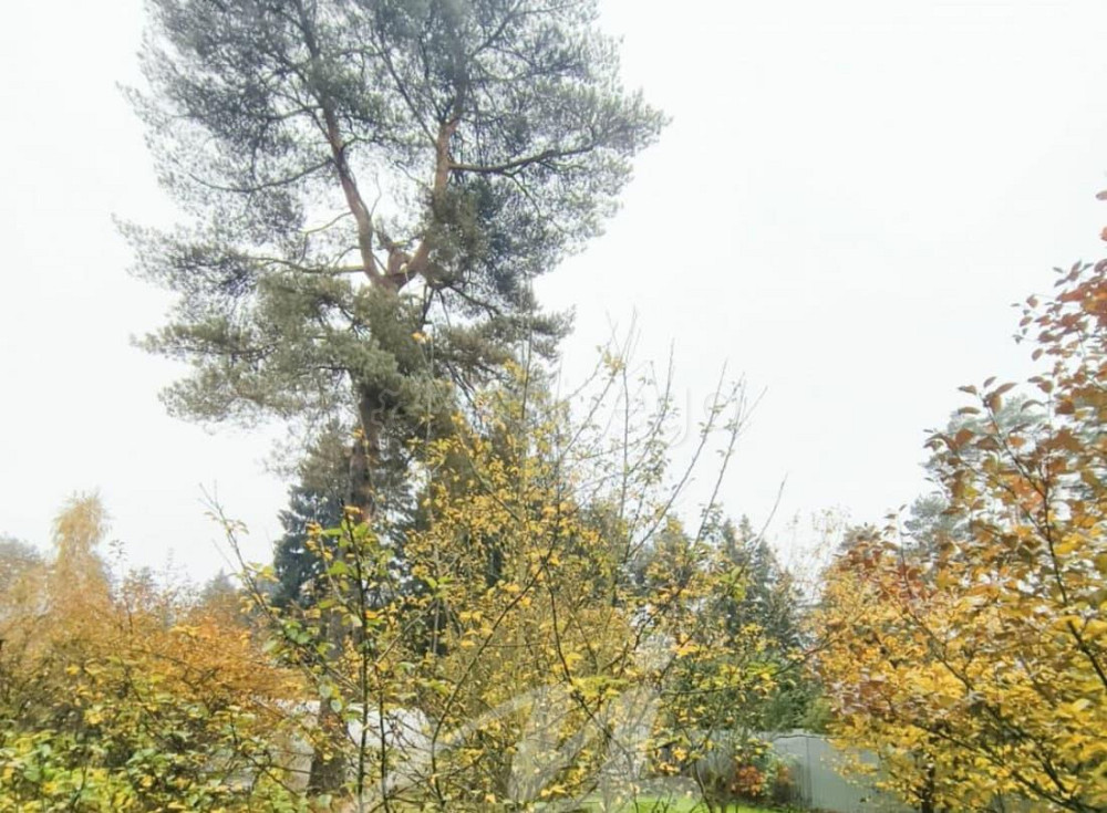 Земельный участок, 10 соток Красногорск - изображение 4