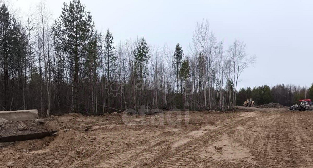 Земельный участок, 3.05 га Новодвинск - изображение 7